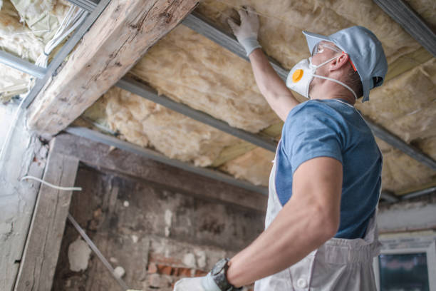 Best Energy Efficiency Solutions in Gibsonton, FL